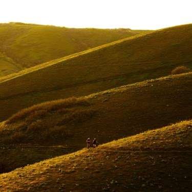 Kiesha&rsquo;s Preserve - Home